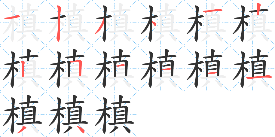 槙的筆順筆畫