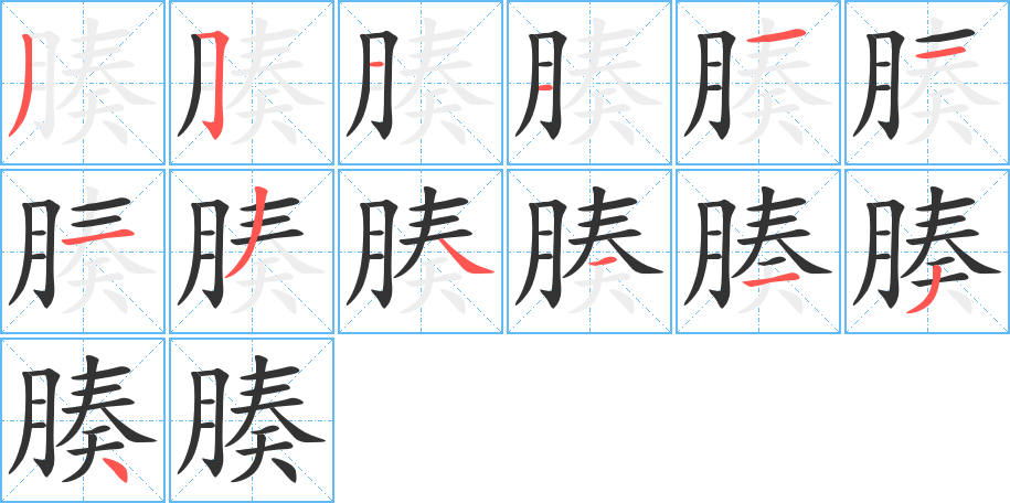 腠的筆順筆畫