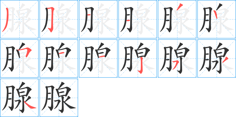 腺的筆順筆畫