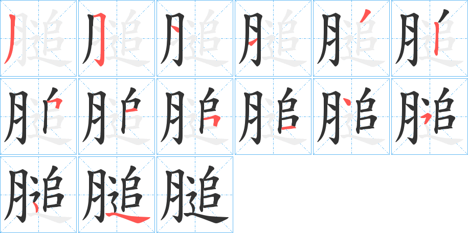 膇的筆順筆畫