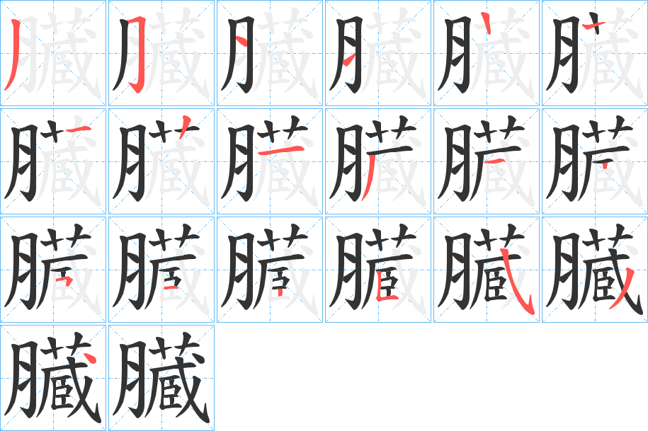 臓的筆順筆畫