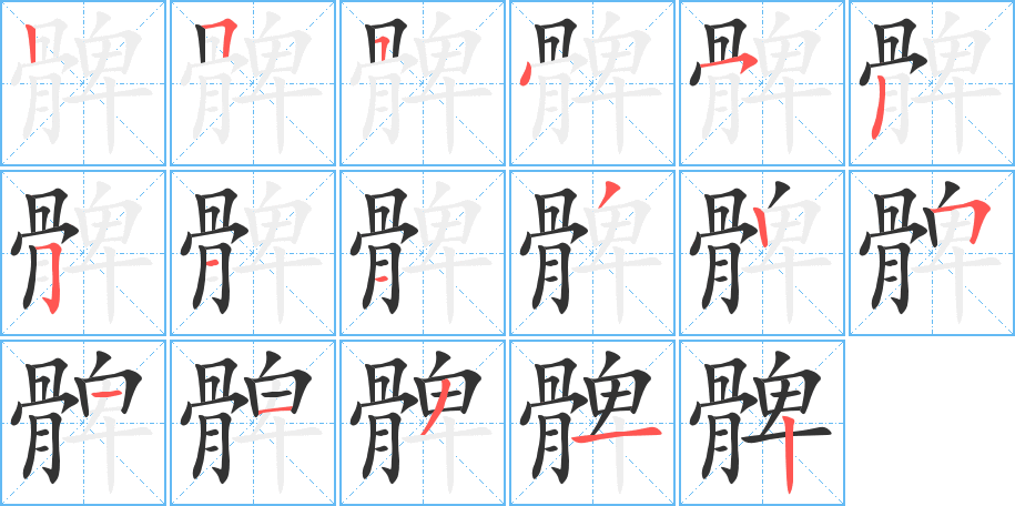 髀的筆順筆畫