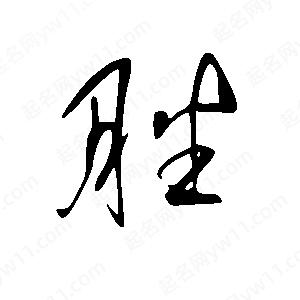 王世剛寫(xiě)的草字脞